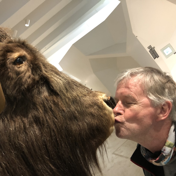 Bisonknutschen im Forschungsmuseum Schöningen