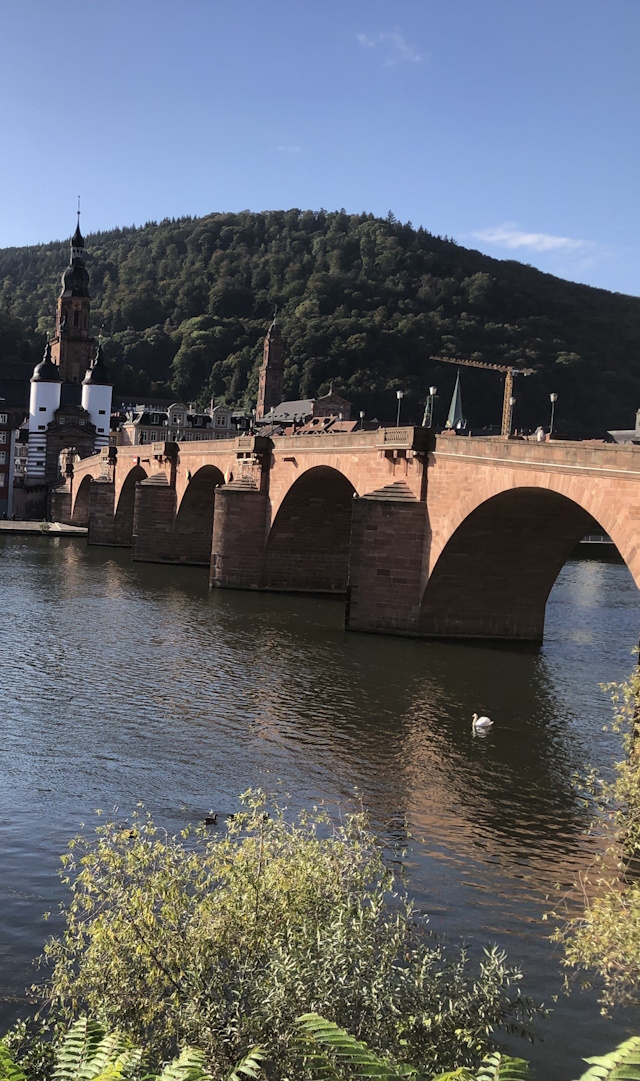 Heidelberg alte Neckarbrücke